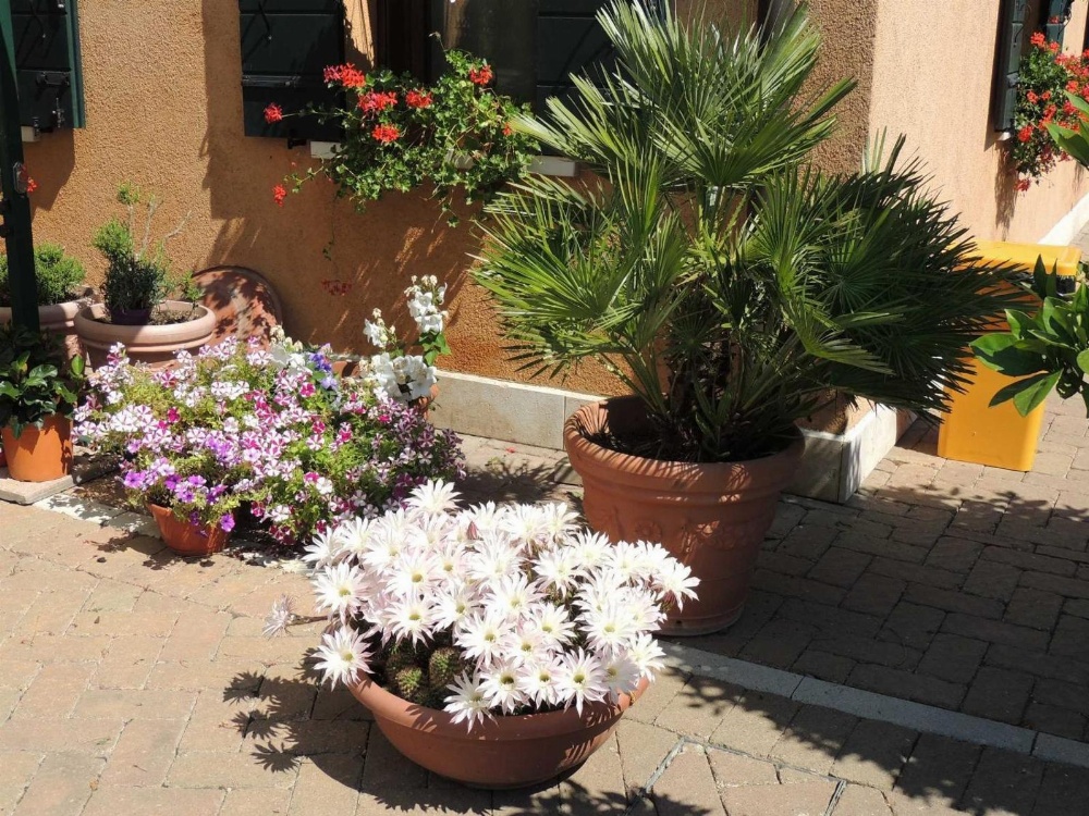 Country House Country Club Main image