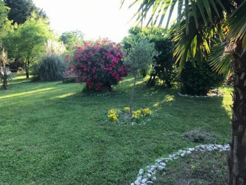 Country House Country Club image 33