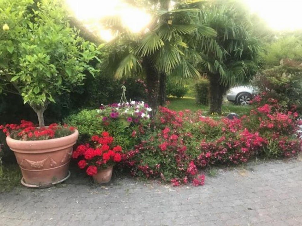 Country House Country Club Image 34